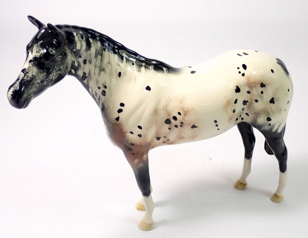 A Royal Doulton Appaloosa horse, 19.5cm tall