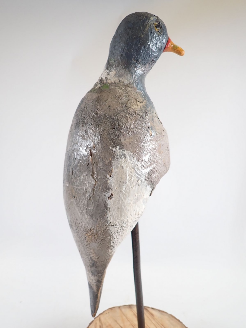 An unusual mounted mid 20th century 'perching' decoy pigeon, 52cm tall - Image 3 of 4