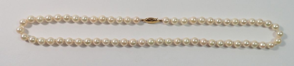 A single string of pearls with 9 carat gold clasp, 49cm