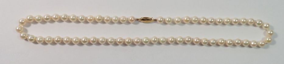 A single string of pearls with 9 carat gold clasp, 49cm