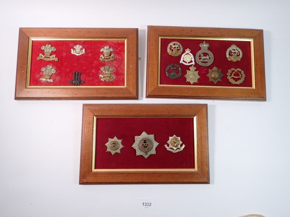 Three framed displays of military cap badges, three Cheshire, six with Prince of Wales plumes and