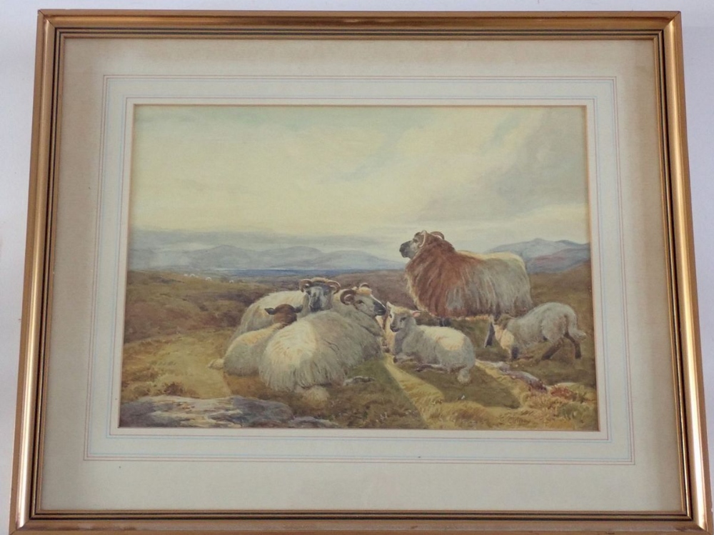 George Collins - watercolour sheep in Moorlands landscape, 25 x 34.5cm