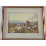 George Collins - watercolour sheep in Moorlands landscape, 25 x 34.5cm