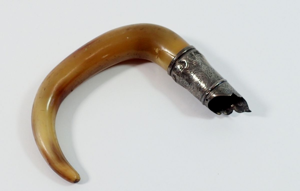 A silver mounted horn handle, lacking walking cane, Chester 1899