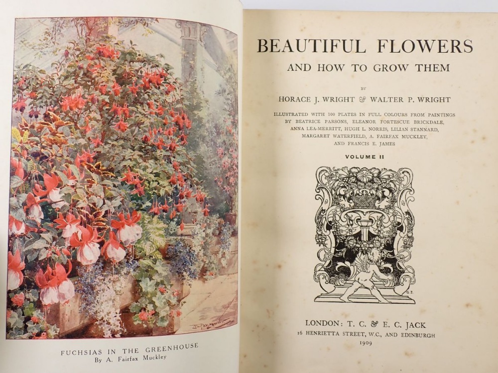 Beautiful Flowers and How to Grow them by Horace J Wright and Walter Wright - Bild 2 aus 2