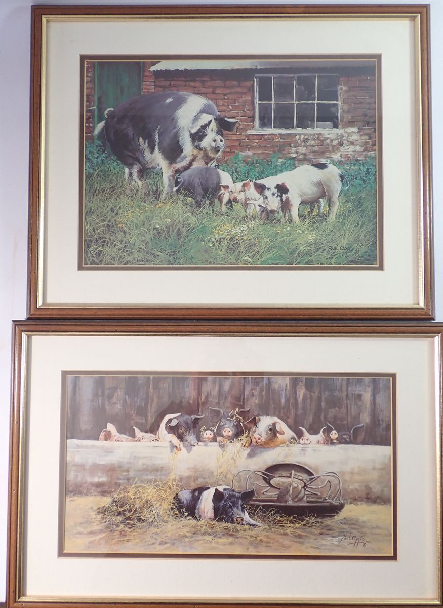 Two pig pictures, 25 x 35cm