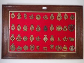 A framed display of forty numbered regimental military cap badges