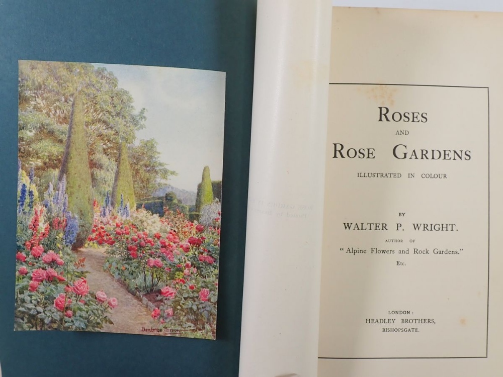 Roses and Rose Gardens by Walter P Wright 1914 - Bild 2 aus 2