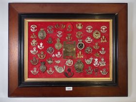 A framed display of forty eight military cap badges with a brass duty plate for The Somerset Light