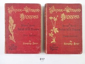 Wayside and Woodland Blossoms by Edward Step, first and second series dated 1896