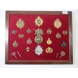 A framed display of twenty Special Forces military cap badges including Commando 55 badges and