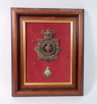 A framed display of a Royal Sussex Military helmet plate and cap badge