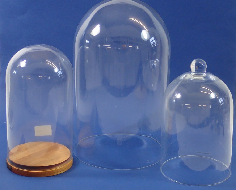 Three glass domes, one being a Victorian taxidermy type example, tallest 35cm