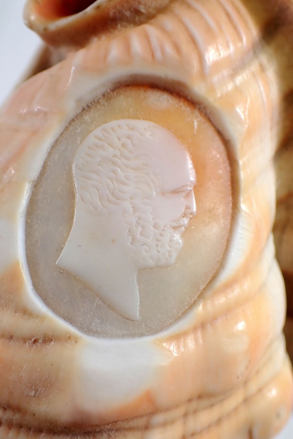 A conch shell carved with a cameo of a man, 12cm tall - Image 3 of 3