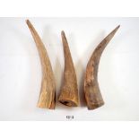 Three various horns