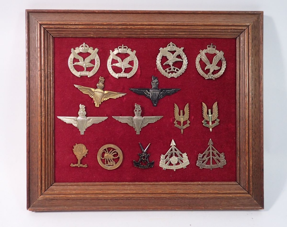 A framed display of fifteen Special Forces military cap badges including SAS, Parachute regiments,