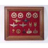 A framed display of fifteen Special Forces military cap badges including SAS, Parachute regiments,