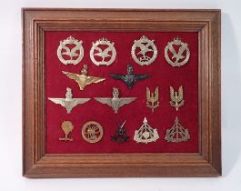 A framed display of fifteen Special Forces military cap badges including SAS, Parachute regiments,