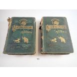 The Illustrated Natural History by Rev J G Wood, two volumes - one dated 1876