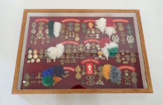 A large glazed display case of cap badges, buttons, feather hackles etc. relating to the Fusilier