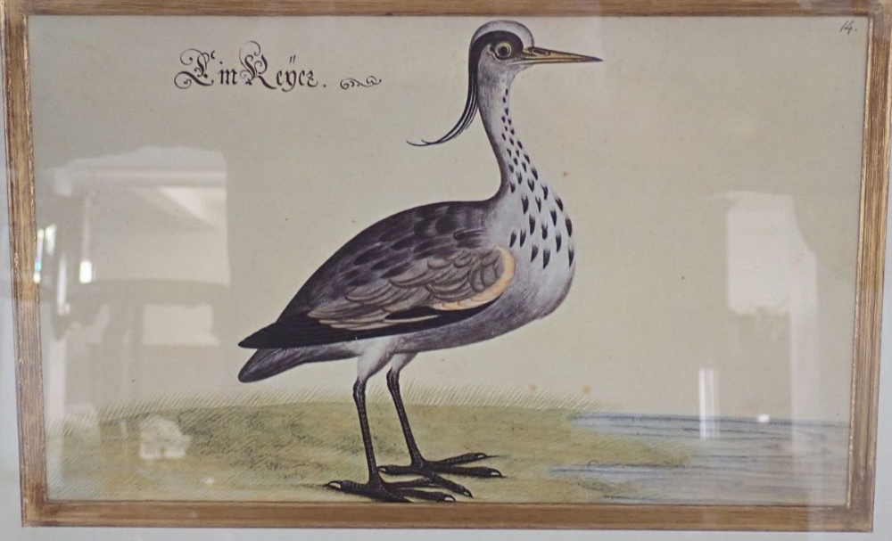 Two prints from 'The Book of British Birds, Fishes and Animals' by Leonhard Baldner featuring a grey - Bild 2 aus 3