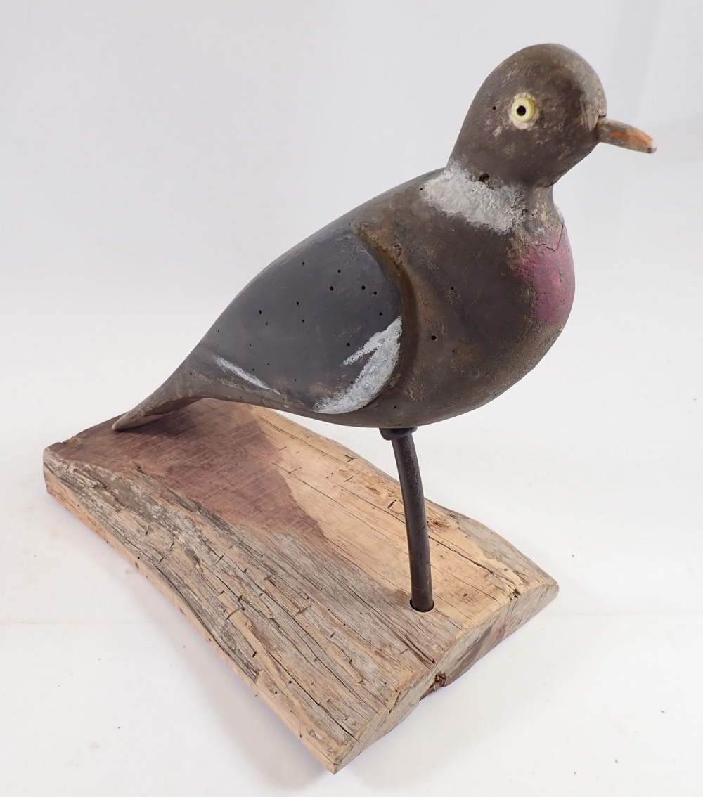 A mounted mid 20th century decoy pigeon with glass eyes, 28cm tall - Image 2 of 4