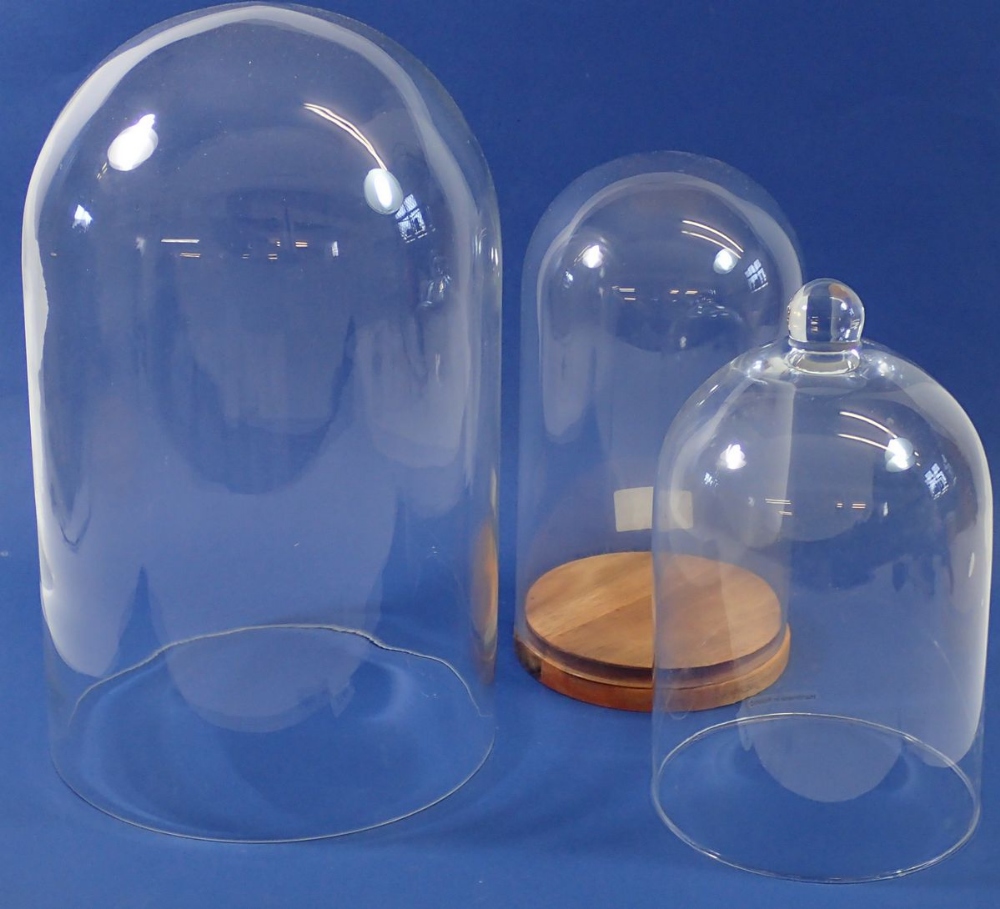 Three glass domes, one being a Victorian taxidermy type example, tallest 35cm - Image 2 of 2