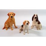 Three Border Fine Arts dogs - Beagle, Springer Spaniel and Labrador, 14cm tall