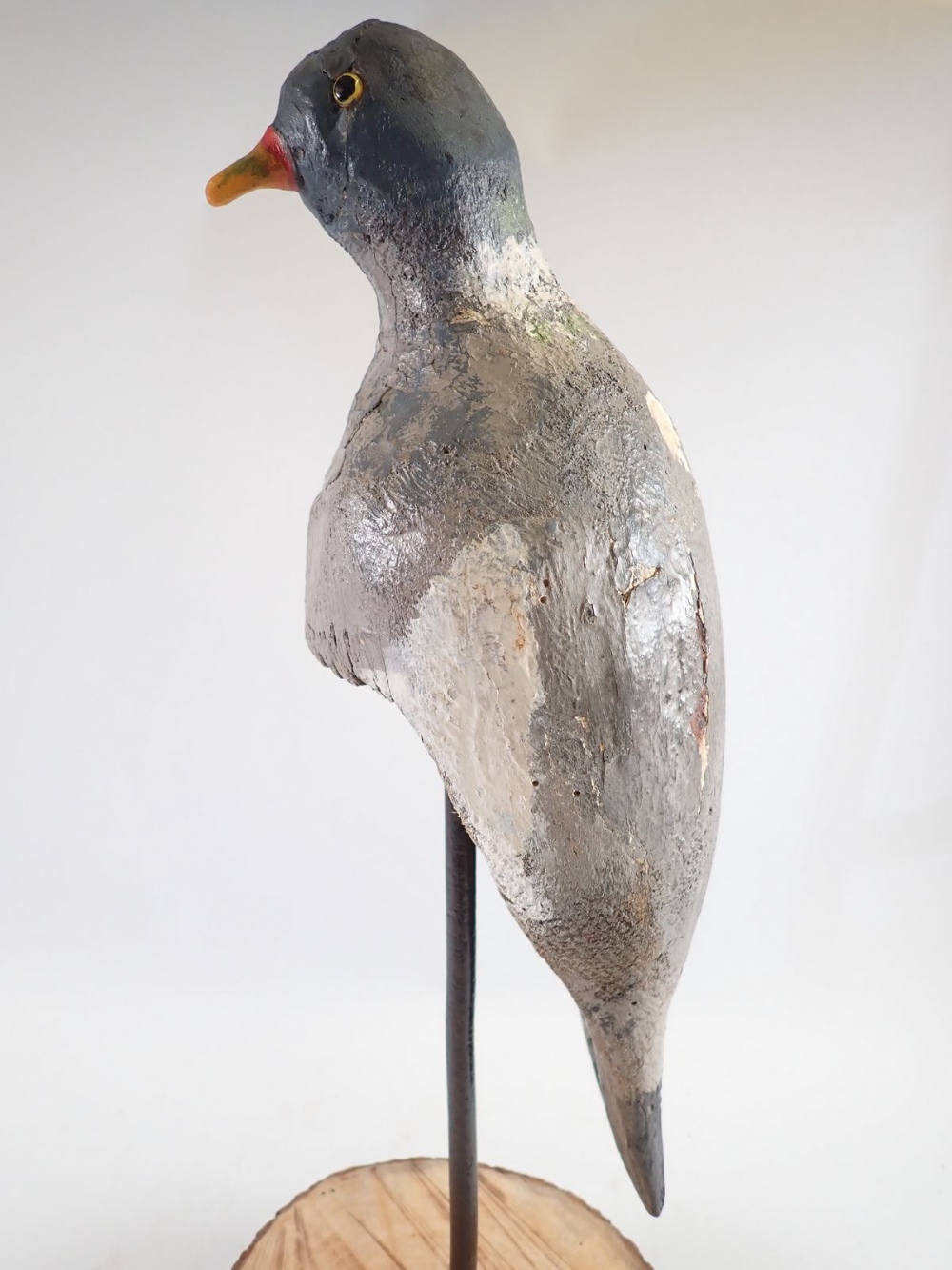 An unusual mounted mid 20th century 'perching' decoy pigeon, 52cm tall