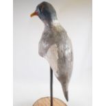 An unusual mounted mid 20th century 'perching' decoy pigeon, 52cm tall