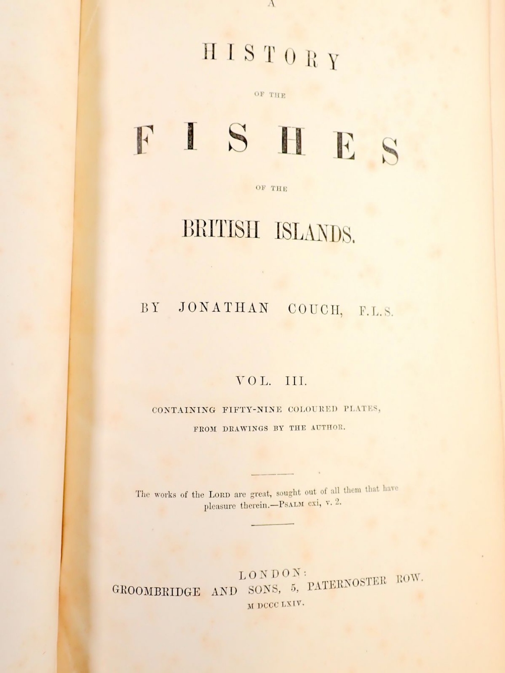 A History of the Fishes of the British Islands, Vol 3 published 1864 - Image 2 of 3