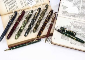 A collection of nine vintage Epenco fountain pens,