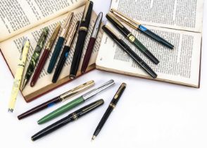 A collection of twelve modern fountain pens, mostly of Chinese origin, including a number of Hero br