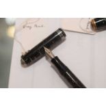 Twelve vintage and modern fountain pens,
