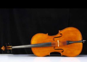 Cello / Franz Sandner,