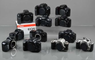 A Tray of SLR Camera Bodies,