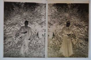 Early 20th Century Half- and Quarter-Plate Glass Plate Negatives,