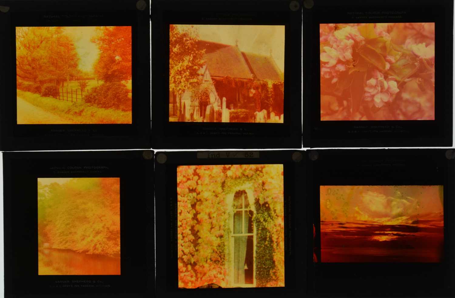 3¼in sq Magic Lantern Slides,