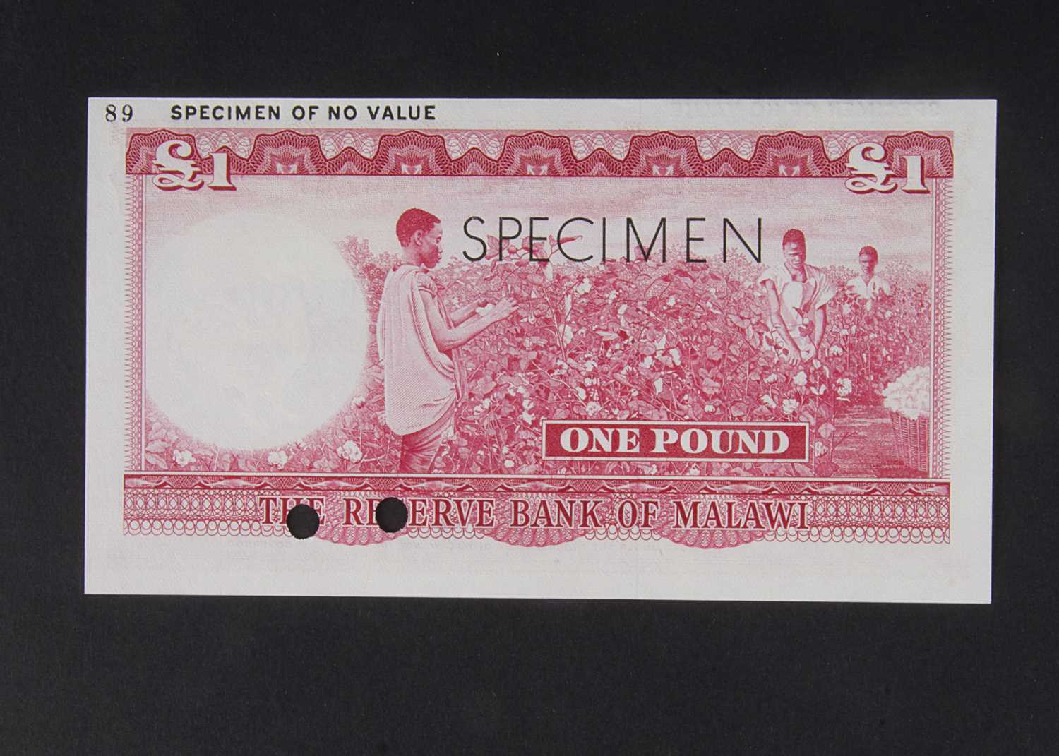 Specimen Bank Note: Reserve Bank of Malawi specimen 1 Pound, - Image 2 of 2