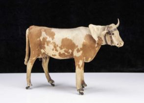 A late 19th century skin covered cow on wheels,