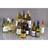 Twenty two bottles of Chilean and Argentinian white wine,