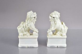 A pair of antique Chinese blanc-de-chine porcelain foo dogs or guardian lions,