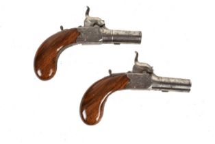 A pair of 19th Century Staudenmayer Percussion cap pocket pistols,