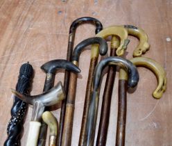 A collection of horn handled walking sticks,