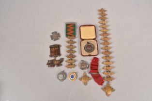 An assortment of Nursing and Life Saving medallions,