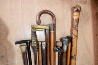 An assortment of various walking sticks and canes,