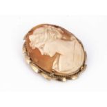 A 20th Century shell carved cameo,