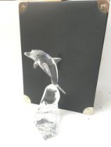 A boxed Swarovski dolphin , 20cm tall.