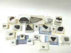 A collection of meteorites including Amphoterite,