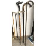A Collection of Walking sticks- NO RESERVE